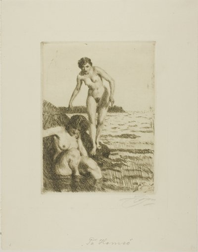 Na ilha de Hemsö de Anders Leonard Zorn