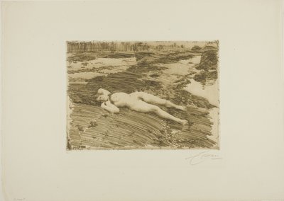 Nas areias de Anders Leonard Zorn