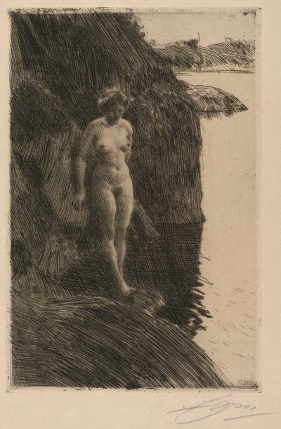 Precipício de Anders Leonard Zorn