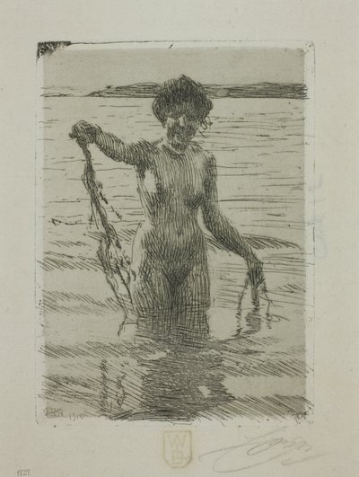 Algas marinhas de Anders Leonard Zorn