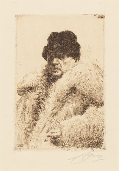  de Anders Zorn