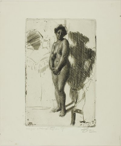 Preto em pé de Anders Leonard Zorn