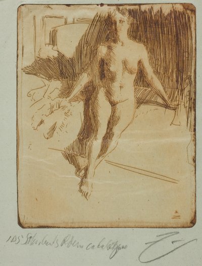 Estudo do modelo de Anders Leonard Zorn