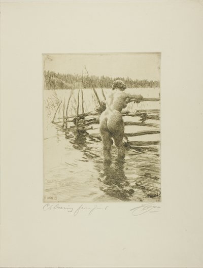 A cerca de Anders Leonard Zorn