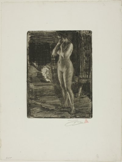 A primeira pose de Anders Leonard Zorn