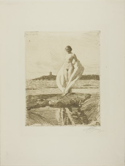 O cisne de Anders Leonard Zorn