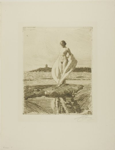 O cisne de Anders Leonard Zorn