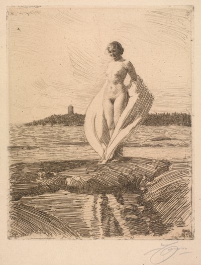 O cisne de Anders Leonard Zorn