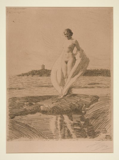 O Cisne de Anders Leonard Zorn