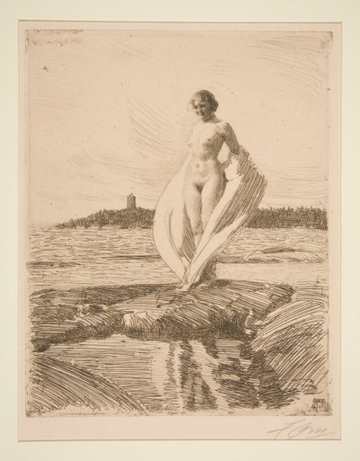 O cisne de Anders Leonard Zorn