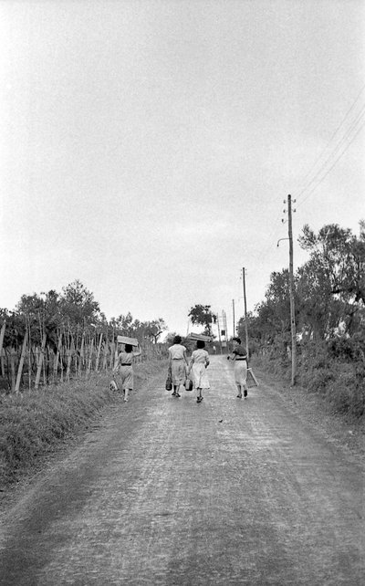 UVAS AMARGAS - EM DIRECÇÃO AO POSTO ATRIBUÍDO de Ando Gilardi