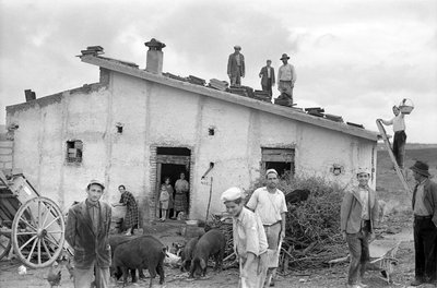 CELEBRAR A COBERTURA DO TELHADO, de Ando Gilardi