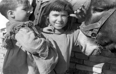 CROTONE - A VIDA NAS ALDEIAS OPERÁRIAS, de Ando Gilardi