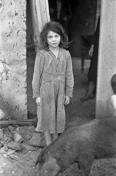 PAISAGEM RURAL DE CROTONE - RAPARIGA E PORCO de Ando Gilardi