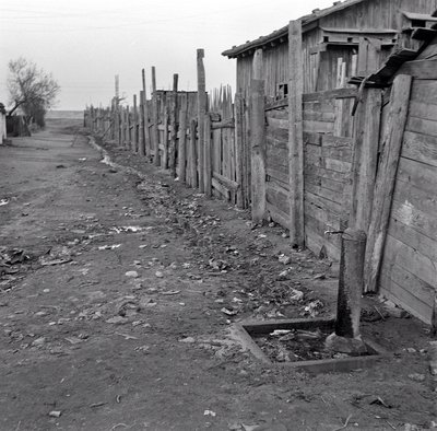 FIM DO TRIMESTRE XANGAI de Ando Gilardi