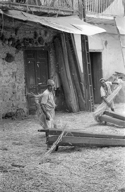 TRANSFORMAÇÃO DO CÂNHAMO, TRABALHADORES DA "MACENNELE" de Ando Gilardi