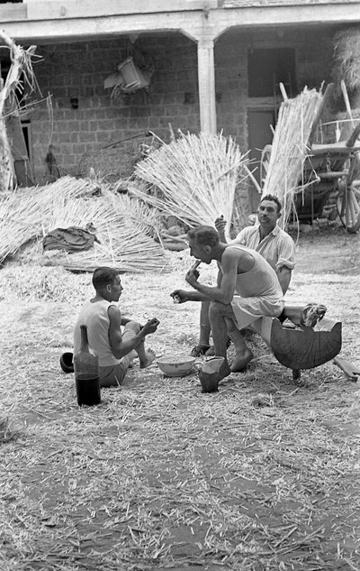 PROCESSAMENTO DE CÂNHAMO, PEQUENO-ALMOÇO NO TRABALHO de Ando Gilardi