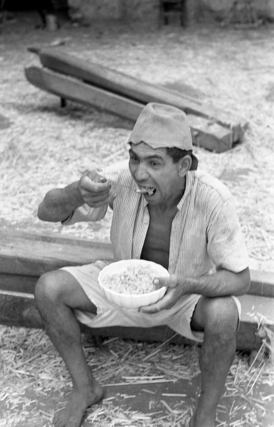 PROCESSAMENTO DE CÂNHAMO, QUEBRA DE MACARRÃO de Ando Gilardi