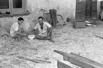 TRANSFORMAÇÃO DO CÂNHAMO, SOPA PARTILHADA de Ando Gilardi