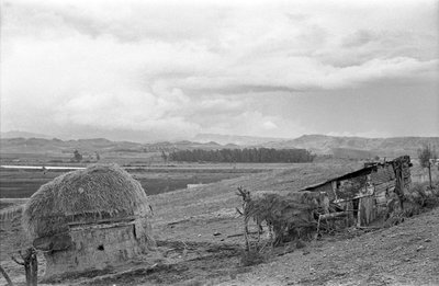BARRACA COM CELEIRO de Ando Gilardi