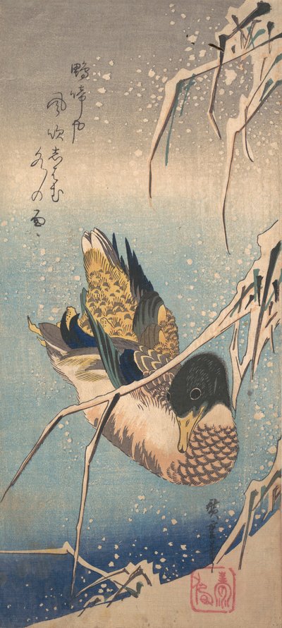 Um pato selvagem perto de uma costa coberta de neve, ca. 1843., c. 1843. de Ando Hiroshige
