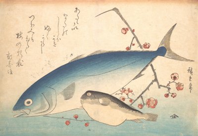 Fugu e Inada Fish, da série Uozukushi Every Variety of Fish, década de 1840., década de 1840. de Ando Hiroshige