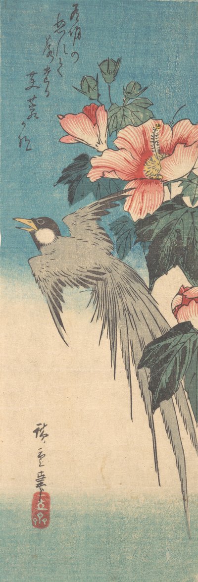 Hibiscus Mutabilis e Ave de Cauda Longa, ca. 1842., c. 1842. de Ando Hiroshige