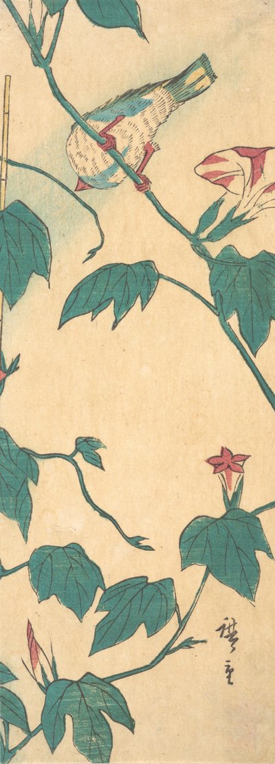 Morning Glories and Bird, 1840-50., 1840-50. de Ando Hiroshige