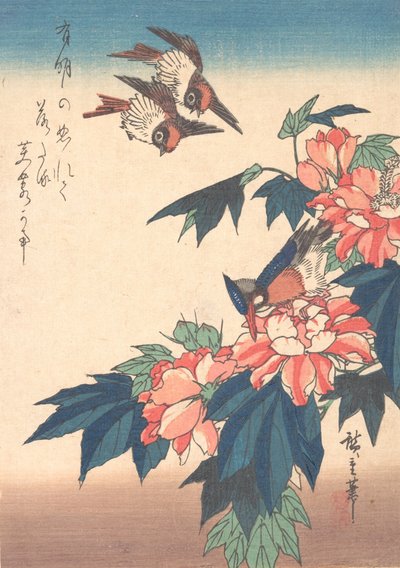 Andorinhas e Martim-pescador com Rose Mallows, ca. 1838., c. 1838. de Ando Hiroshige