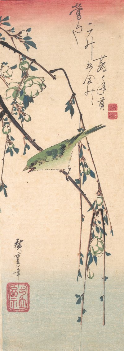 Toutinegra em um galho de ameixa, ca. 1835., c. 1835. de Ando Hiroshige