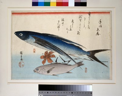 Peixe voador, peixe ishimochi e lírio de Ando or Utagawa Hiroshige