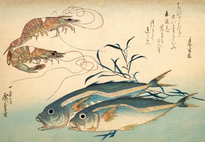 Carapau japonês e camarão tigre japonês (impressão woodblock de cor) de Ando or Utagawa Hiroshige