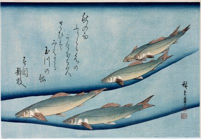 Rivertrout ", da série" Coleção de peixes " de Ando or Utagawa Hiroshige