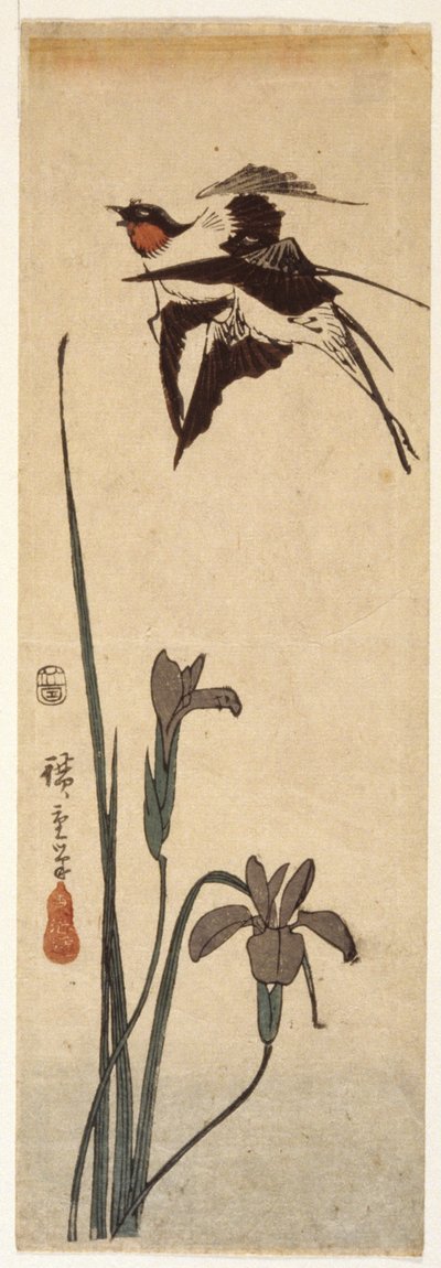 Andorinhas e Íris (impressão em bloco de madeira a cores) de Ando or Utagawa Hiroshige