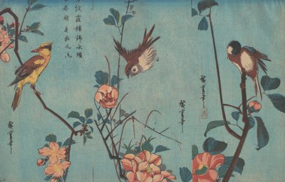 Chapim e Camélias, Pardal e Rosas Selvagens e Oriole-de-papo-preto e Flores de Cerejeira, c.1833 (impressão em xilogravura) de Ando or Utagawa Hiroshige