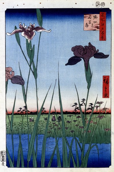 Water Iris - impressão japonesa por Utagawa Hiroshige. Cem visualizações de Edo de Ando or Utagawa Hiroshige