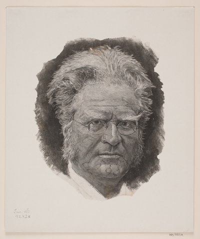 Bjørnstjerne. Björnson de André Bork