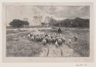 Paisagem com ovelhas e pastor de André Bork