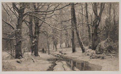 Dia de inverno em uma floresta de André Bork