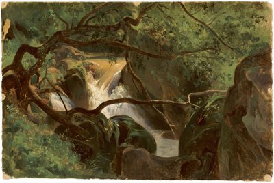 Interior da Floresta com Cachoeira, Papigno, 18251830. de André Giroux