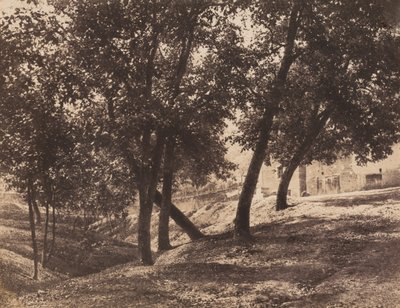 Árvores, c. 1855. de André Giroux