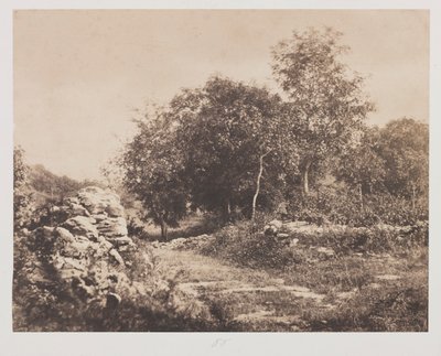 Cena sem título de Fontainbleau, c. 1853 de André Giroux