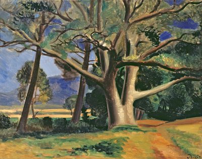 A árvore grande, c.1929-30 (óleo sobre tela) (ver também 287578) de Andre Derain