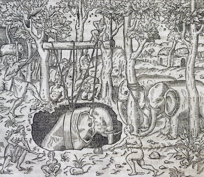 Caça ao elefante na ilha de Java, gravura da Cosmologia Universal, de Andre Thevet (1504-1592), Paris de Andre Thevet