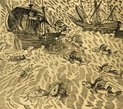 Peixes voadores em mares tropicais, gravura da Cosmographie Universelle, de Andre