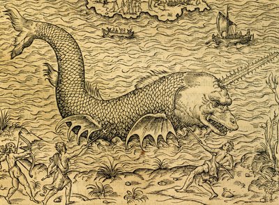 Monstro marinho, gravura de Universal Cosmology, de Andre Thevet (1504-1592), Paris de Andre Thevet