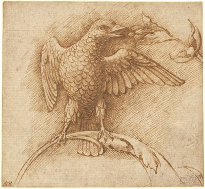 Um pássaro empoleirado em um galho com frutas de Andrea Mantegna