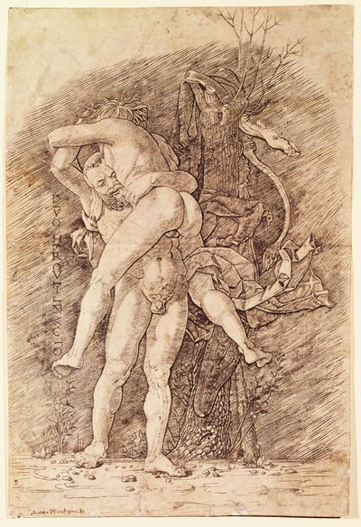Hércules e Antaeus, de Andrea Mantegna (1431-1506), desenhando. de Andrea Mantegna
