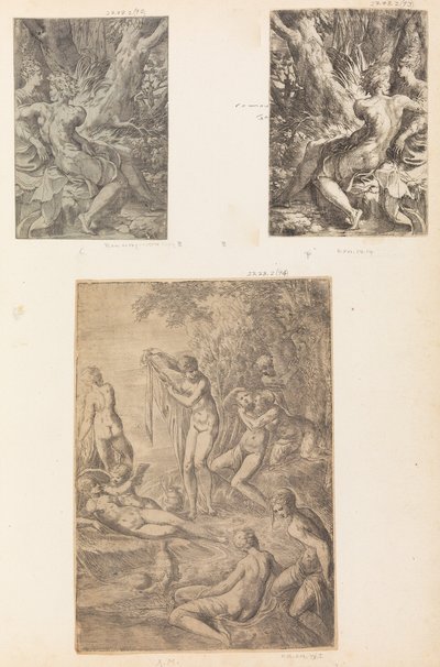 Ninfas Banho, possivelmente ca. 1545-50. de Andrea Schiavone