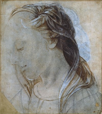 Cabeça feminina (desenho) de Andrea Verrocchio